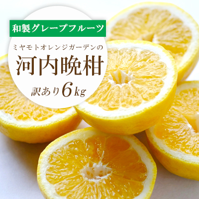 苦味の少ない和製グレープフルーツ 河内晩柑6kg(訳あり)【D25-136】【配送不可地域：離島】【1151745】 YWTAP079