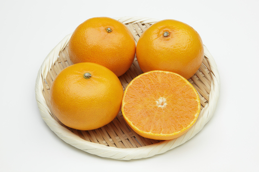 【先行受付】柑橘の鬼たちがつくる八幡浜産・せとか(2.7kg～3.0kg)[贈答用]【D56-21】【1283618】 YWTAS015