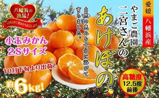 濃厚な味わい!やまご農園の「あけぼの小玉」約6kg【C39-21】【配送不可地域：離島・北海道・沖縄県】【1148837】 YWTF010