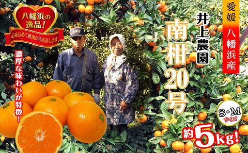 M、Sサイズでお届け・濃厚な味わい! 井上農園「南柑20号」約5kg 【C39-12】【1245424】 YWTF005