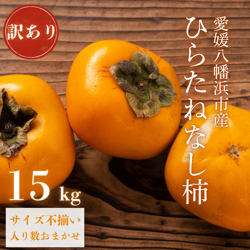 《秋の味覚 種なしで食べやすい》愛媛八幡浜産 ひらたねなし柿 訳あり15kg【H20-28】【1323617】 YWTI023