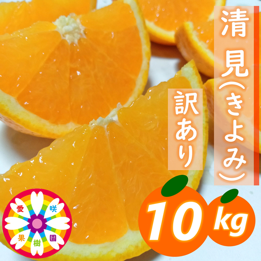 【先行受付】愛咲果樹園 「 清見 」 訳あり 約10kg【C71-15】【1344734】 YWTS013