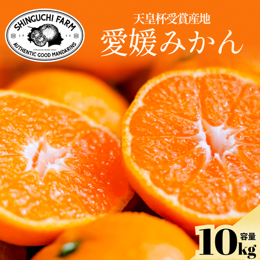 【太陽の恵みがギュッと凝縮】愛媛みかん10kg 農家直送 愛媛県川上産【F70-3】【1440739】 YWTK003