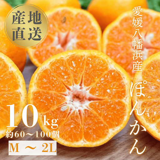 国安さんちの愛媛ポンカン10kg[D20-4][1094581]