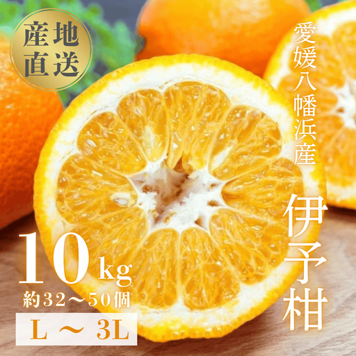 【爽やか香りと柔らかジューシーな果肉】愛媛八幡浜産 宮内伊予柑 10kg【D20-6】【1094591】 YWTI006