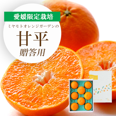 [先行受付]愛媛限定栽培柑橘 甘平(かんぺい) ギフトボックス入り[E25-99][1360088] YW