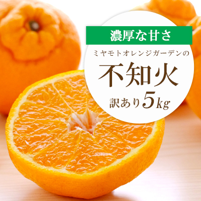 [先行受付]デコポンと同品種 濃厚柑橘 不知火(しらぬい)愛媛県八幡浜市産 5kg[訳あり][D25-139][1138007] YW