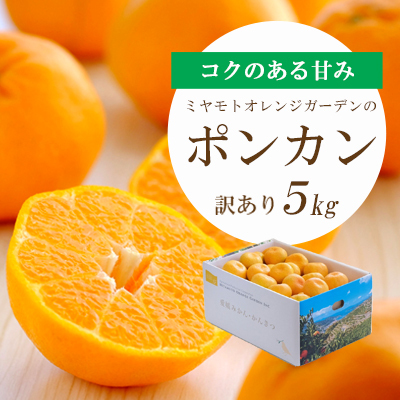 [先行受付]愛媛の新春柑橘 芳醇な香りのポンカン 5kg[訳あり][C25-135][1248059] YW
