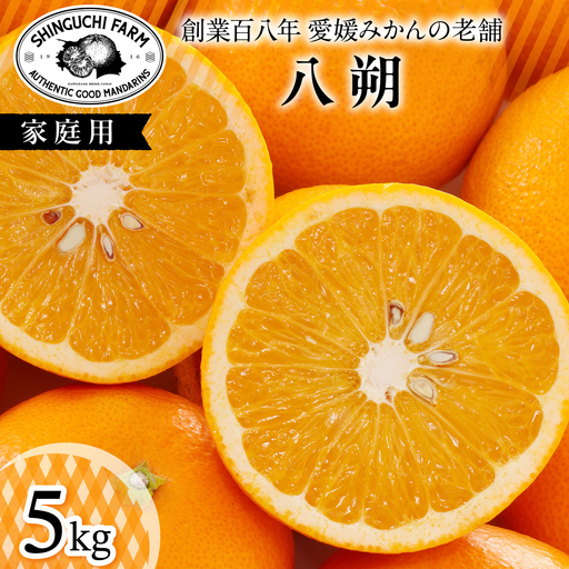 [大人の味わい]八朔 5kg『さっぱりとした甘みとほろ苦さ』[C70-28][1470659]