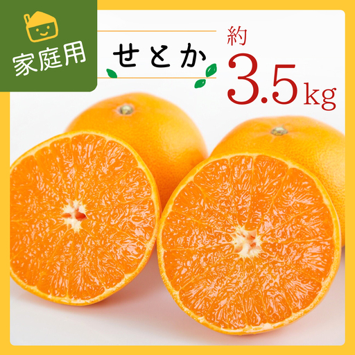 コウ果樹園の家庭用[せとか]約3.5kg[C33-31][1441231]