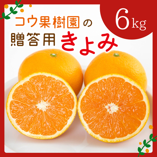 [先行受付]コウ果樹園の贈答用きよみ6kg[C33-36][1457341]