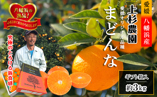 ギフト対応化粧箱入・上杉農園のぷるぷる新食感!「マドンナ」約3kg【D39-16】【1251804】 YWTF008