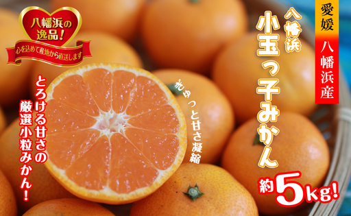 小粒・濃厚な味わい!!「八幡浜小玉っ子みかん」約5kg【C39-59】【配送不可地域：離島】【1512462】 YWTF034