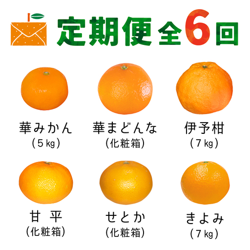 【発送月固定定期便】コウ果樹園の旬の柑橘定期便(11月-4月)【H33-40】全6回【4052188】 YWTG022
