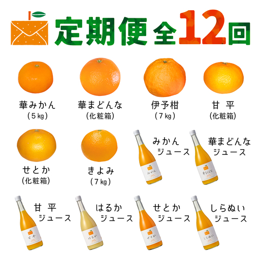 【発送月固定定期便】コウ果樹園の旬の柑橘定期便(11月-10月)【H33-41】全12回【4052190】 YWTG023