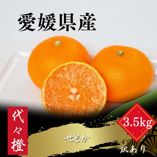 [先行受付][最高の旨みと香りが詰まった]代々橙せとか[訳あり]3.5kg[C83-9][1543886]