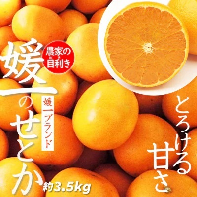 【先行受付】愛媛の高級柑橘の代名詞!「せとか」約3.5kg入【D28-18】【配送不可地域：離島】【1046129】 YWTN011