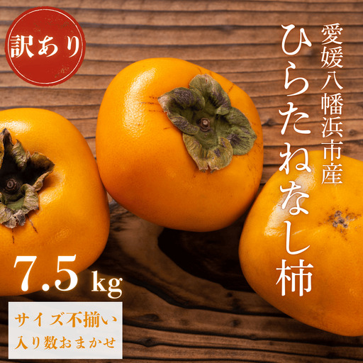[秋の味覚 種なしで食べやすい] 訳あり ひらたねなし柿 7.5kg[D20-36][1594868]