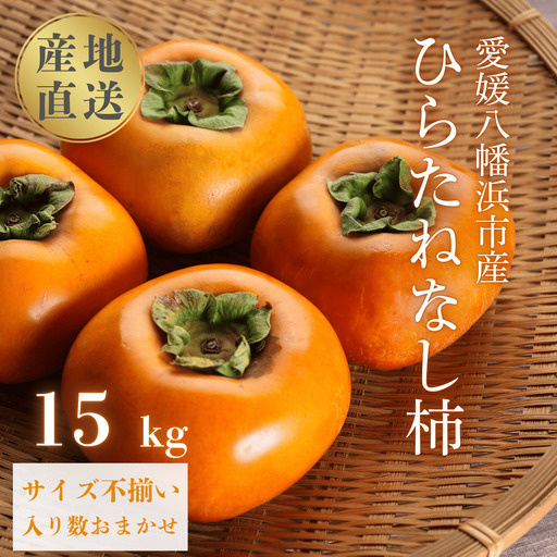 [秋の味覚 種なしで食べやすい] ひらたねなし柿 15kg (7.5kg×2箱)[H20-40][1594098]