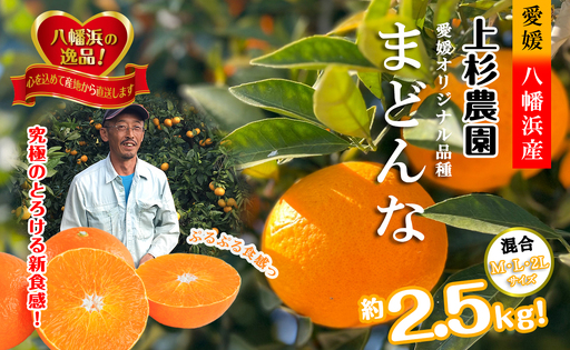 こんな柑橘はじめて!!上杉農園のぷるぷる新食感!!「まどんな」約2.5kg【D39-67】【配送不可地域：離島】【1619931】 YWTF042