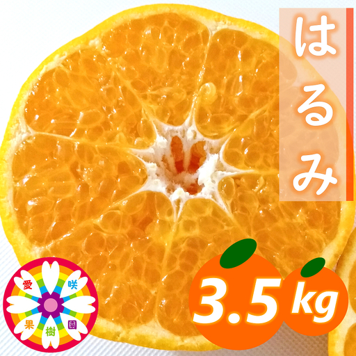 [先行受付]愛咲果樹園「はるみ」約3.5kg[C71-29][1619092]
