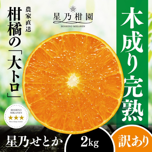 [訳あり]星乃せとか 柑橘の大トロ(2kg)[C45-92][1625775] YW