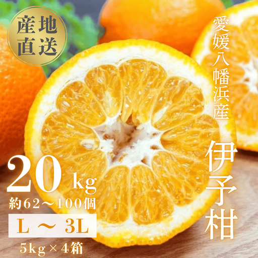 【爽やか香りと柔らかジューシーな果肉】愛媛八幡浜産 宮内伊予柑 20kg【H20-95】【1625452】 YWTI090