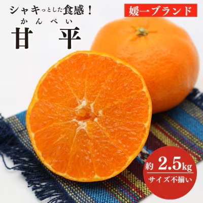 【先行受付】愛媛の高級柑橘の一つ!「甘平(かんぺい)」約2.5kg入【訳あり】【C28-41】【1437357】 YWTN028