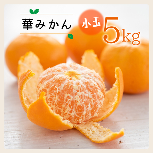 コウ果樹園の華みかん小玉5kg【C33-37】【1491968】 YWTG019