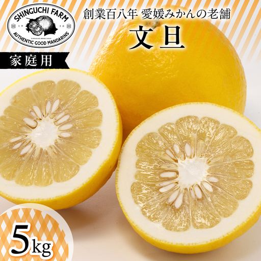 創業百八年 愛媛みかんの老舗[文旦5kg]家庭用[新口農園][D70-31][1470650]