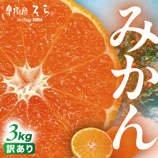 【先行受付】天空の果樹園から届くそらみかん (3kg)【訳あり】【A95-6】【1668486】 YWTAQ006