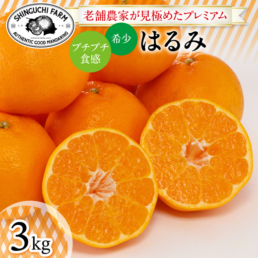 老舗農家が見極めたプレミアム[はるみ3kg][希少・プチプチ食感][C70-130][1684351]