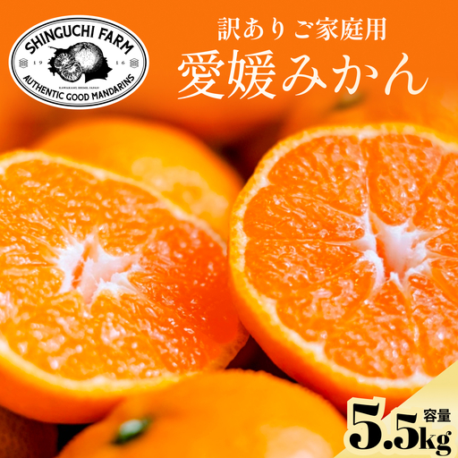 [訳あり]愛媛みかん 5.5kg 愛媛県産[A70-149][1700901]