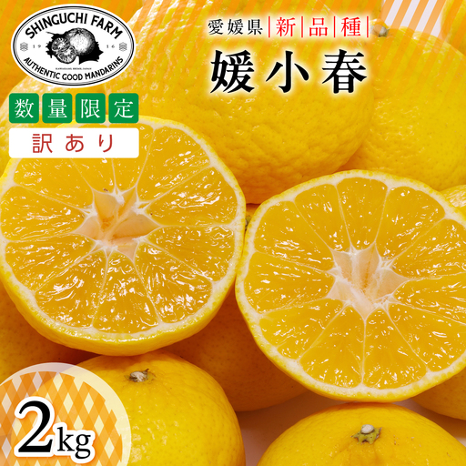 [先行受付][訳あり]媛小春 2kg[A70-161][1710481]