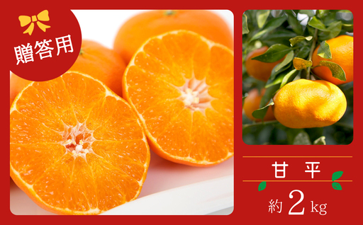 コウ果樹園の【厳選】甘平2kg YWTG031