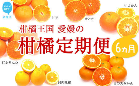 [定期便]フルーツ 果物 みかん かんきつ 柑橘定期便 6か月[期間限定:11月5日まで][発送期間限定:11月〜4月]