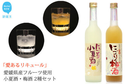「愛あるリキュール」500ml×2種セット にごり梅酒・にごり小夏酒 愛媛県産フルーツ使用 [愛媛 近藤酒造] ギフト・プレゼントに最適