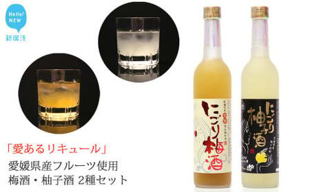 「愛あるリキュール」500ml×2種セット にごり梅酒・にごり柚子酒 愛媛県産フルーツ使用 [愛媛 近藤酒造] ギフト・プレゼントに最適