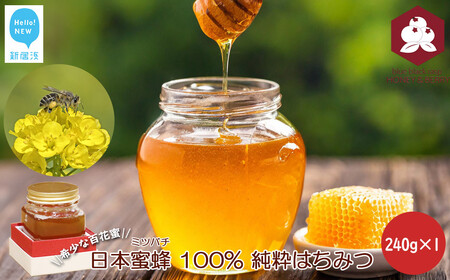 日本蜜蜂 100% 純粋 はちみつ 非加熱 240g×1 希少 国産 蜂蜜 ハチミツ はちみつ 蜂蜜 ハチミツ 日本蜜蜂 ミツバチ ミツバチ 