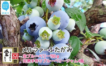 【先行予約】【期間限定】旬にお届け 完熟生ブルーベリー700ｇ 完熟手作りブルーベリージャム4瓶セット メルファーふたがみ【寄附受付：8月10日まで】