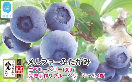【先行予約】【期間限定】旬にお届け 完熟生ブルーベリー1300ｇ 完熟手作りブルーベリージャム4瓶セット メルファーふたがみ【寄附受付：8月10日まで】