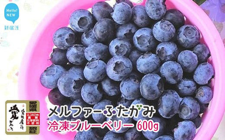 [先行予約]完熟ブルーベリー600g(冷凍)毎年人気の冷凍ブルーベリーです メルファーふたがみ