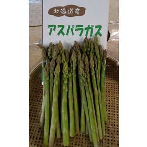 o_ ́y|!znEXO[AXpKX@800gyzsnFzy1680762z