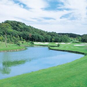 2026Nx Jg[y F̉ 1ly1687493z