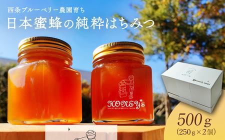 日本蜜蜂の純粋はちみつ 500g (250g×2個) ハチミツ 純粋はちみつ 百花はちみつ 日本蜜蜂 化粧箱 ギフト 西条ブルーベリー農園