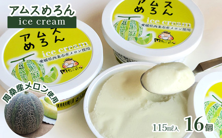 アムスめろんアイスクリーム 16個 周桑産メロン使用 スイーツ フルーツ 果物 アムスメロン アイス 周ちゃん広場 JA周桑