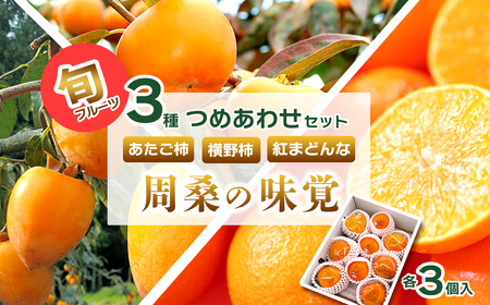 [先行予約・12月発送] 旬のフルーツ3種セット 紅まどんな あたご柿 横野柿 「周桑の味覚」 各3個入り 食べ比べ 詰め合わせ セット ギフト