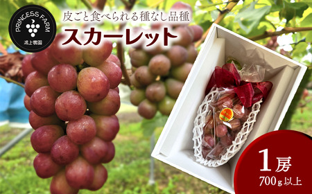 種なし赤ぶどう スカーレット(1房・700g以上)8月下旬〜10月発送|赤ぶどう 種なし葡萄 ぶどう ブドウ 葡萄 ぶどう ぶどう ぶどう ぶどう ぶどう