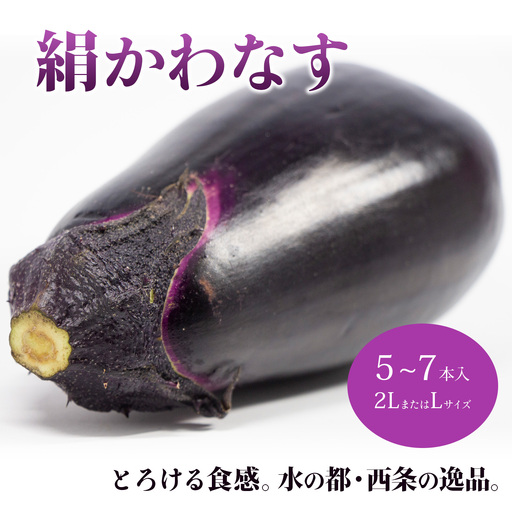 [茄子]絹かわなす 5〜7本入り 6月中旬〜7月発送 ナス 野菜