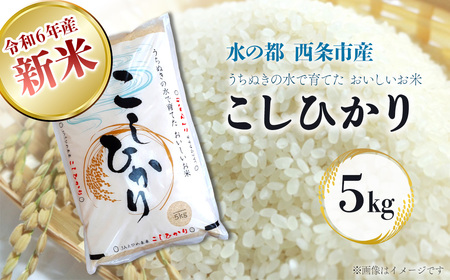 西条産のお米「コシヒカリ」（５kg） 令和5年産